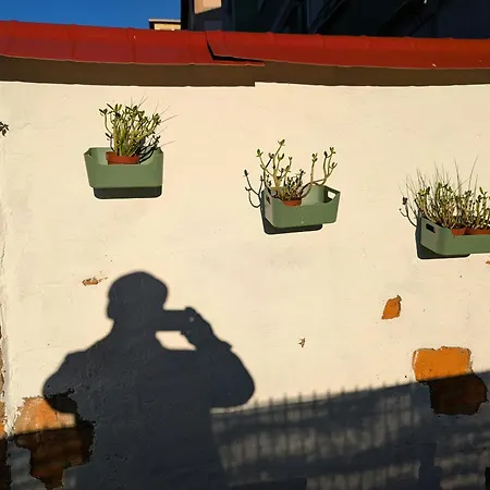 Jardin Secreto By Oasis Blibao Ebi02374 * בילבאו