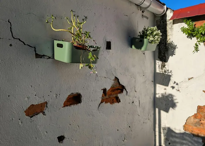 Jardin Secreto By Oasis Blibao Ebi02374