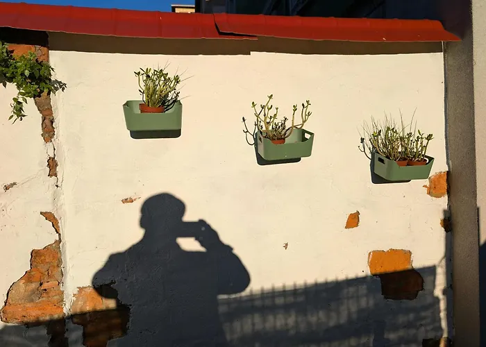 Jardin Secreto By Oasis Blibao Ebi02374 * 빌바오